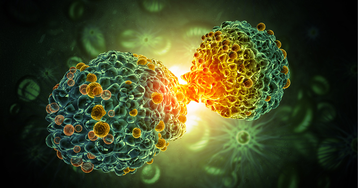 A New Cell Therapy Approach Advances Toward Clinical Testing in Synovial Sarcoma