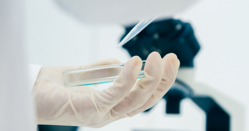 A gloved hand holds a clear petri dish near a microscope in a bright laboratory setting, suggesting scientific research or experiment.
