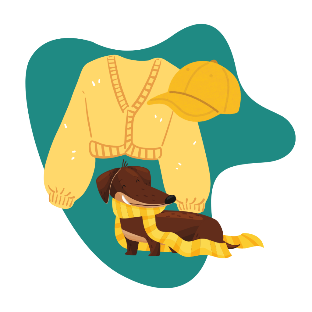 Illustration of a yellow sweater, a yellow cap, and a brown dachshund dog wearing a yellow scarf, all set against a green abstract background.