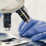 Close-up of blue gloved hands adjusting a microscope with two visible objective lenses, focusing on a glass slide in a laboratory setting.
