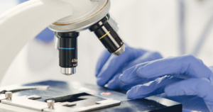 Close-up of blue gloved hands adjusting a microscope with two visible objective lenses, focusing on a glass slide in a laboratory setting.