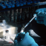 Hands wearing blue nitrile gloves draw liquid from a small glass vial into a syringe, with a rack of test tubes in the background.